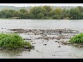 Днестр — река, ставшая канализацией. Что пьют жители Кишинева и Одессы?