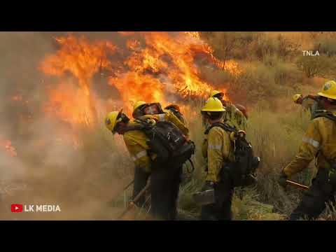 Ridge Fire | Gorman