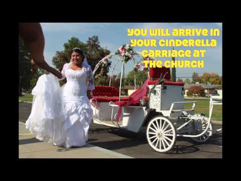 Every Brides Fantasy Riding in a Cinderella Carriage to their wedding
