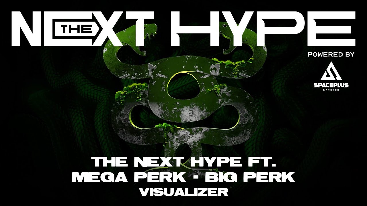THE NEXT HYPE ft. Mega Perk Big Perk (Visualizer) THE NEXT HYPE