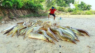 Believe this thing! A fisher man catch a lot of mud fishes under soft dirt by hands - amazing video!