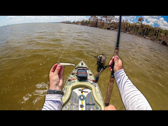 NLBN Mini Mullet Got SMOKED! (Paddleboard Fishing) 