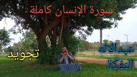 سورة الإنسان كاملة للقارئ عبدالاله النفݣة surah insan