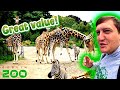 Dublin zoo any good?