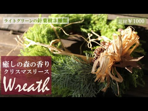 クリスマス リース作り方 ライトグリーンのコニファーで作る癒しのリース Youtube