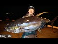 奇跡”釣り人の憧れ夢―巨大マグロが堤防で連発。