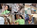 all about my hairless dog // adoption story, medical conditions, DNA results &amp; pajama collection