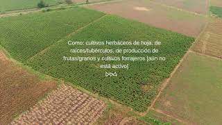 Modelo AquaCrop