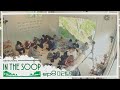 [In the SOOP SVT ver.] Official Clip-EP.8