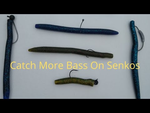 Senko Bait Bass Fishing: A Complete Guide - Wish Upon A Fish