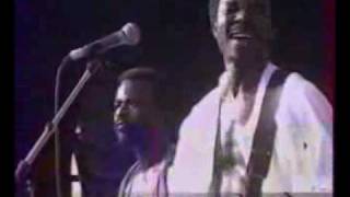 Video thumbnail of "King Sunny Ade - Synchro System (Live)"
