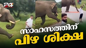സെൽഫിക്കിടെ കാട്ടാന ആക്രമണം, സഞ്ചാരിക്ക് 25,000 രൂപ പിഴയിട്ട് വനംവകുപ്പ് |  Bandipur Elephant Attack