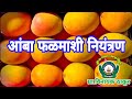 आंबा फळमाशी नियंत्रण/आंबा फळमाशी नियंत्रक कामगंध सापळा,Fruit Fly/Falmashi Trap/Pheromone Traps