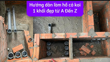 Hướng Dẫn Làm Hồ Cá Koi 1 Khối Đẹp Từ A Đên Z - Lọc Vận Hành Tuyệt Vời.Hồ Của anh Phương Ở Biên Hòa