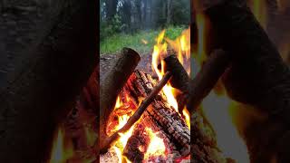 🔥Relaxing Campfire with Burning Logs and Crackling Fire Sounds for Sleep, Study. 4K UHD