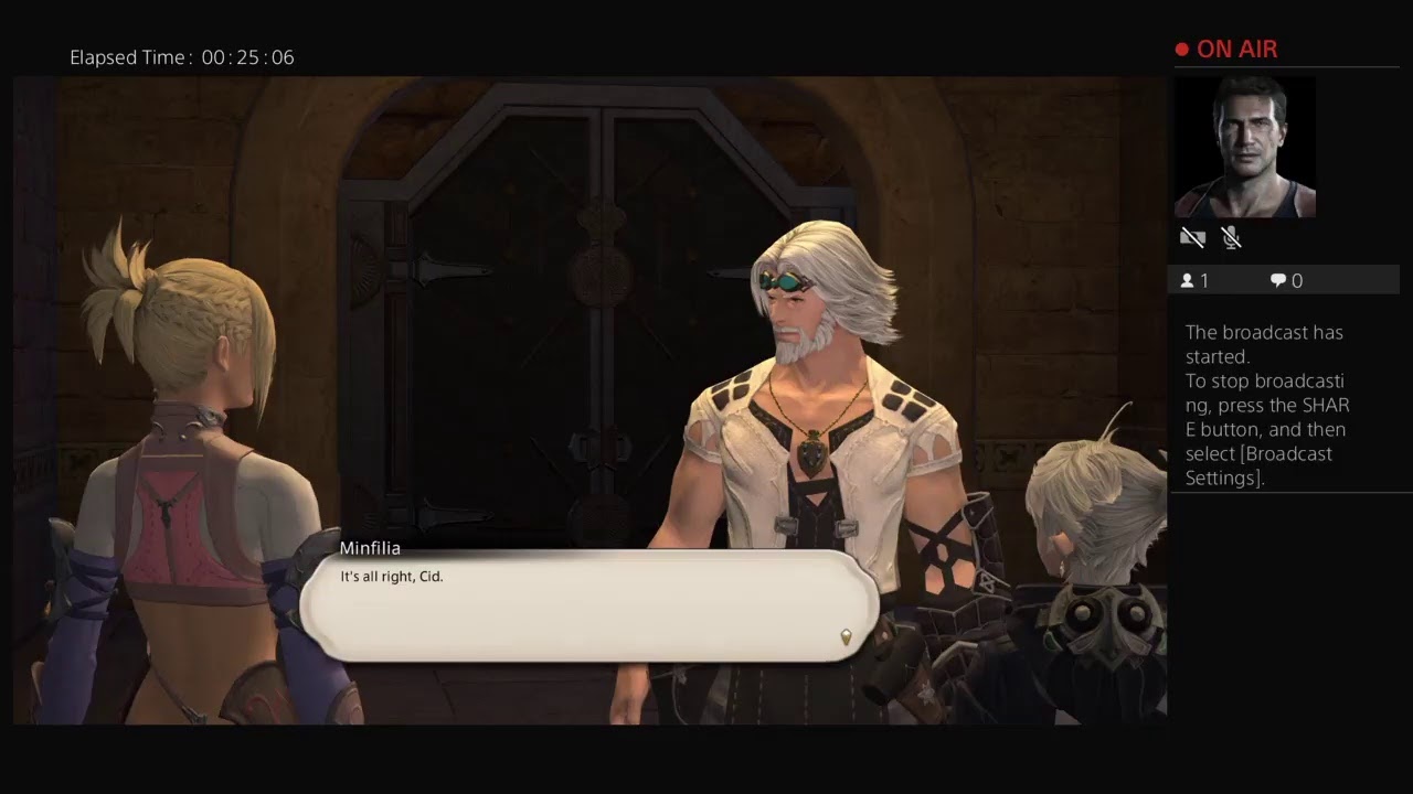 I am playing Final Fantasy XIV online (The Black Wolf's Ultimatum