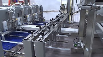 Nercon Merging and Diverting Conveyor