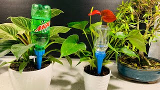 Automatic Plant Waterer, Plant waterer Self Watering Spikes | Keep Your Plants healthy