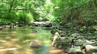 Waterdown Trail to Smokey Hollow [Waterfalls] | Happy Time
