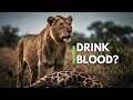 African savanna: how life exists where water disappears.