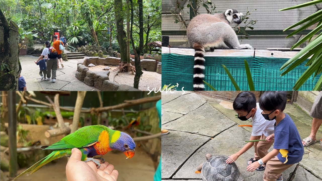 [vlog] Farm in the City