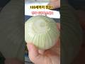 100세까지 장수하는 사람들은 양파를 이렇게 먹습니다
