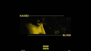 kaisei - blind!