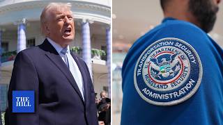 Massive TSA cuts? Trump's 2027 budget proposal would cut thousands jobs