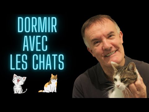 Asmr Dormir avec mes chats 🐱