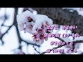 夢吹雪/香西かおり cover 善雄(ぜんゆう)
