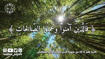 الملك يومئذ لله يحكم بينهم فالذين آمنوا وعملوا الصالحات في جنات النعيم - القارئ ناصر القطامي
