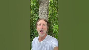 Thumbnail of Great Gordon Lightfoot songs, as well as original acoustic ballads ￼￼