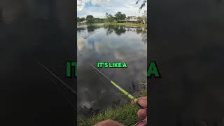 Would you try this CRAZY LURE! #Shorts