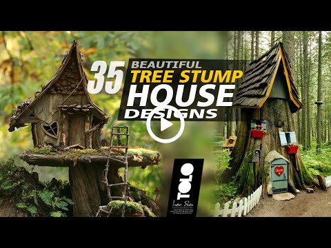 35 Tree Stump House Designs | Tree Stump Ideas for Garden