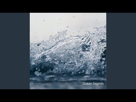 Sounds of the Sea