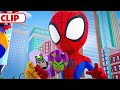 Gobby and Rhino Ruin Valentine&#39;s Day 💘 | Marvel&#39;s Spidey and his Amazing Friends | @disneyjunior