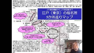 ２０２２０３３１　東京の桜名所、５か所巡り（飯田橋～丸の内）