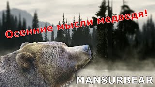 О чём думает медведь осенью?