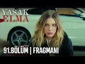 Yasak Elma 91.Bölüm Fragmanı