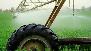 Protect Your Crops and Cattle Today With CKP Insurance. Don't let Weather Destroy Your Livelihood