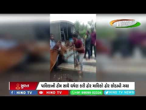 ડિંડોલીમાં રખડતા ઢોરો પકડવા ગયેલી પાલિકાની ટીમ સાથે ઘર્ષણ