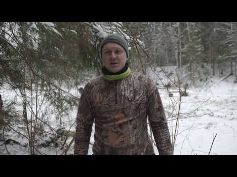 Video: Kā Izskatās Ziemas Mežs
