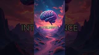 Brain Training Games: Genius Tool or Expensive Scam The Truth Revealed