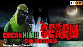 cucak ijo isian kuntilanak