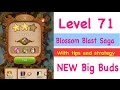 Blossom Blast Saga Level 71 NEW Big Buds Tips and 