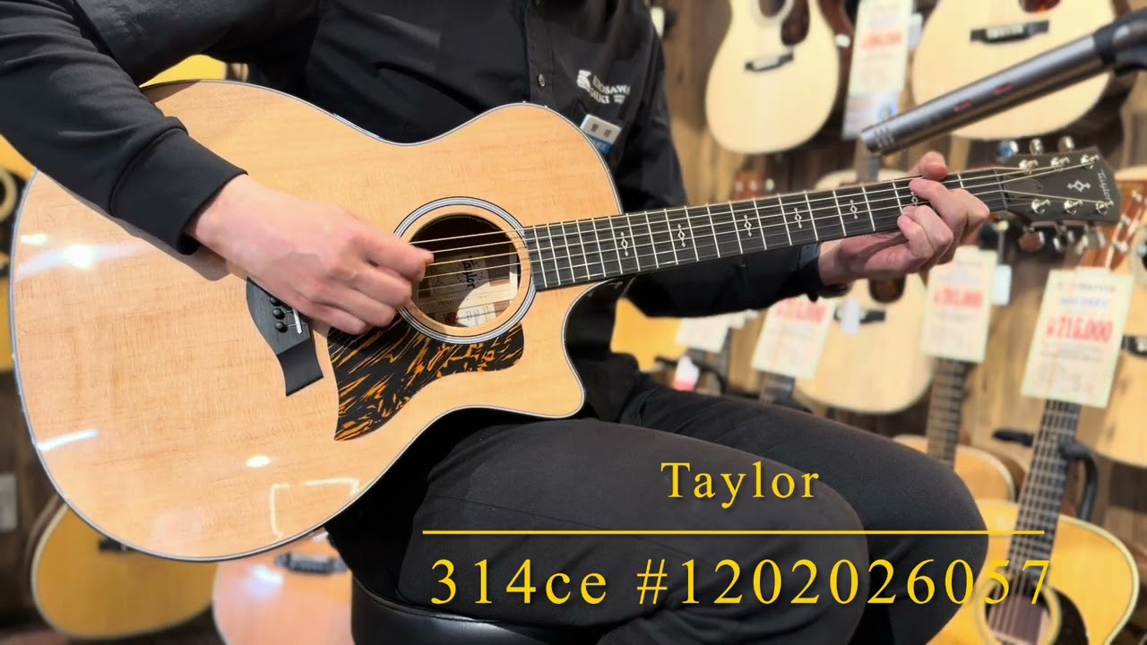 新品〕Taylor 314ce #1202026057【立体的に響く良個体】【新仕様