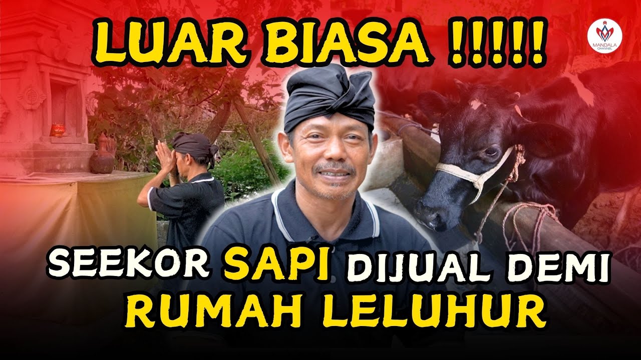 BINGUNG DI AWAL, AKHIRNYA SEMANGAT SAMPAI JUAL SAPI........... #candi #leluhurjawa #hindujawa #jawa