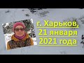 Пруд. Как расширить лунку в пруду с помощью пилы