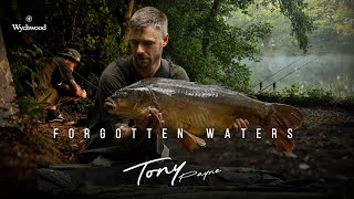 Tony Payne Forgotten waters