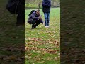 Ardilla londinense en los jardines de Buckingham